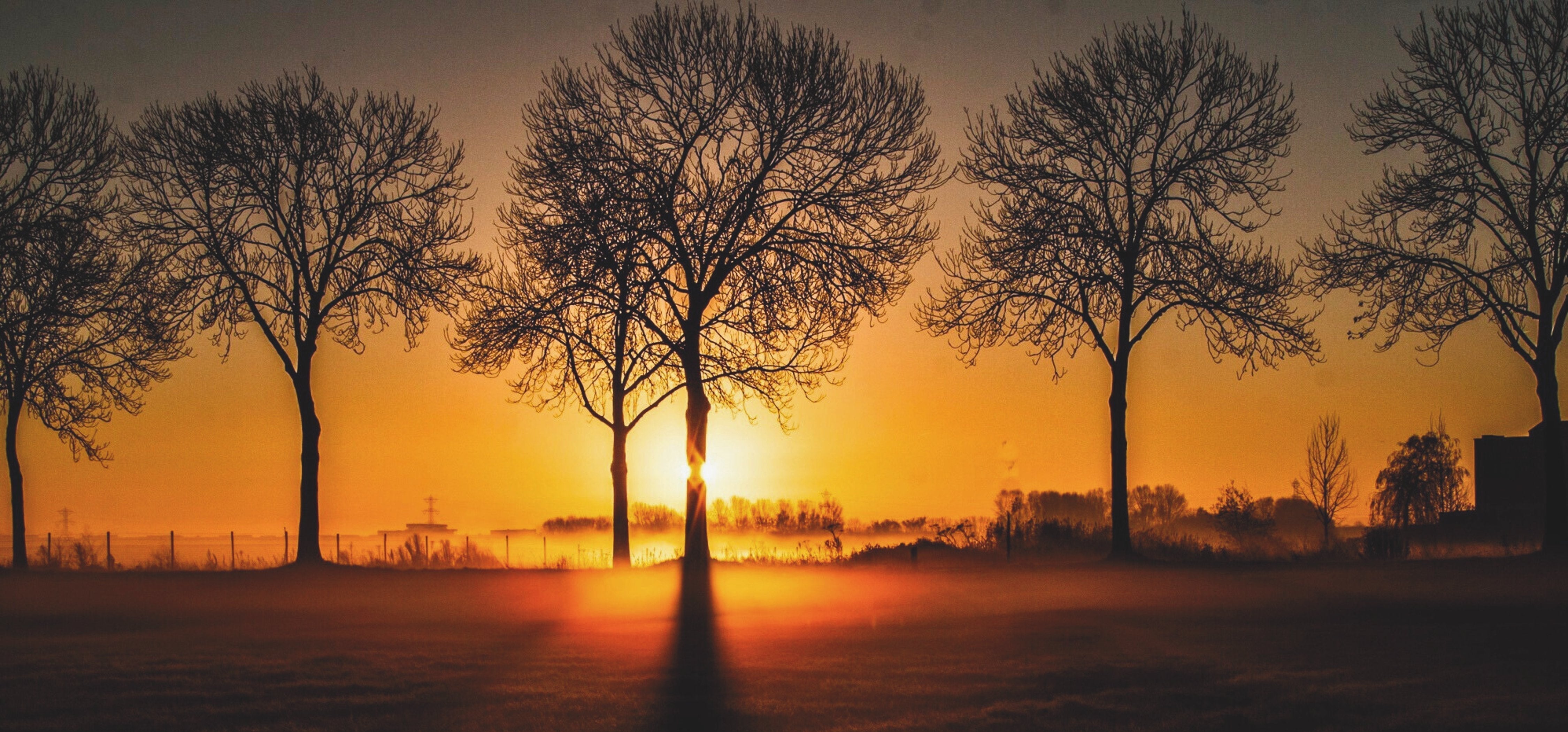 The power of colors: How to choose nature photographs in neutral tones for minimalist design
