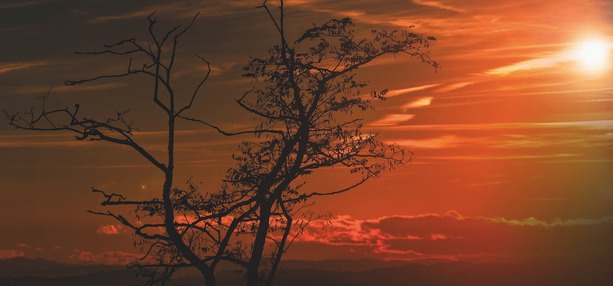 Einfache, aber effektive Dekorationsideen mit Naturfotografien im minimalistischen Stil