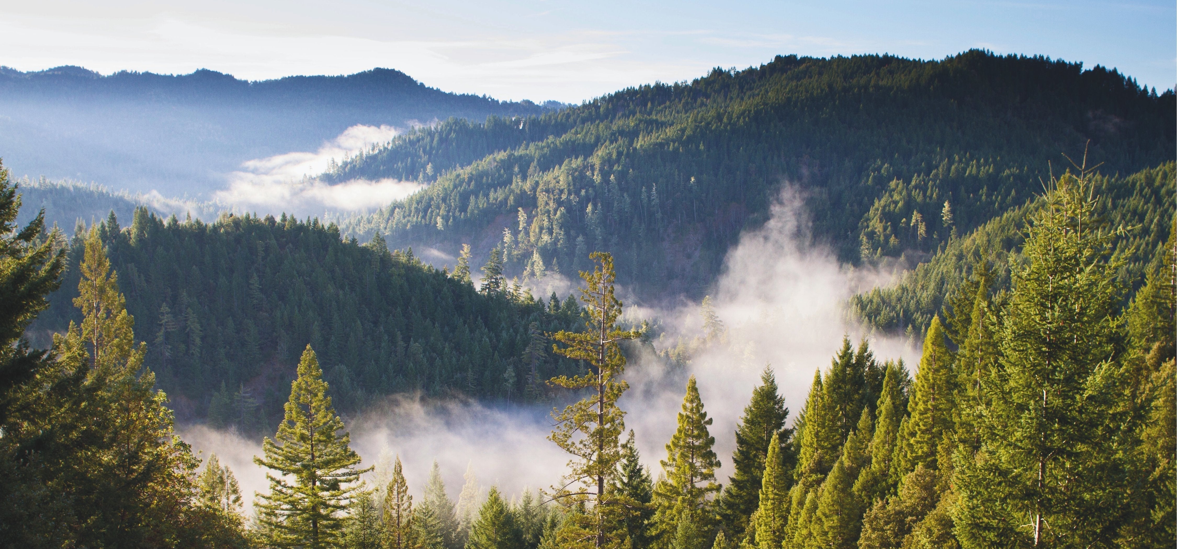 Die besten Naturfotografien für minimalistisches Schlafzimmer-Design