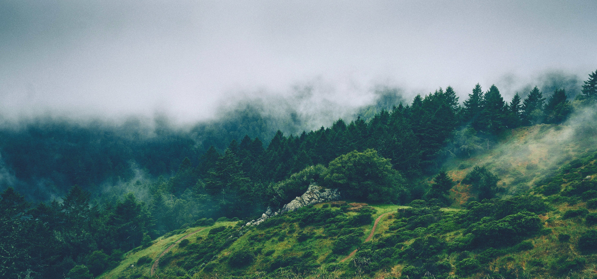 3 kreative Wege, wie du Naturfotografien in deinem minimalistischen Zuhause arrangieren kannst