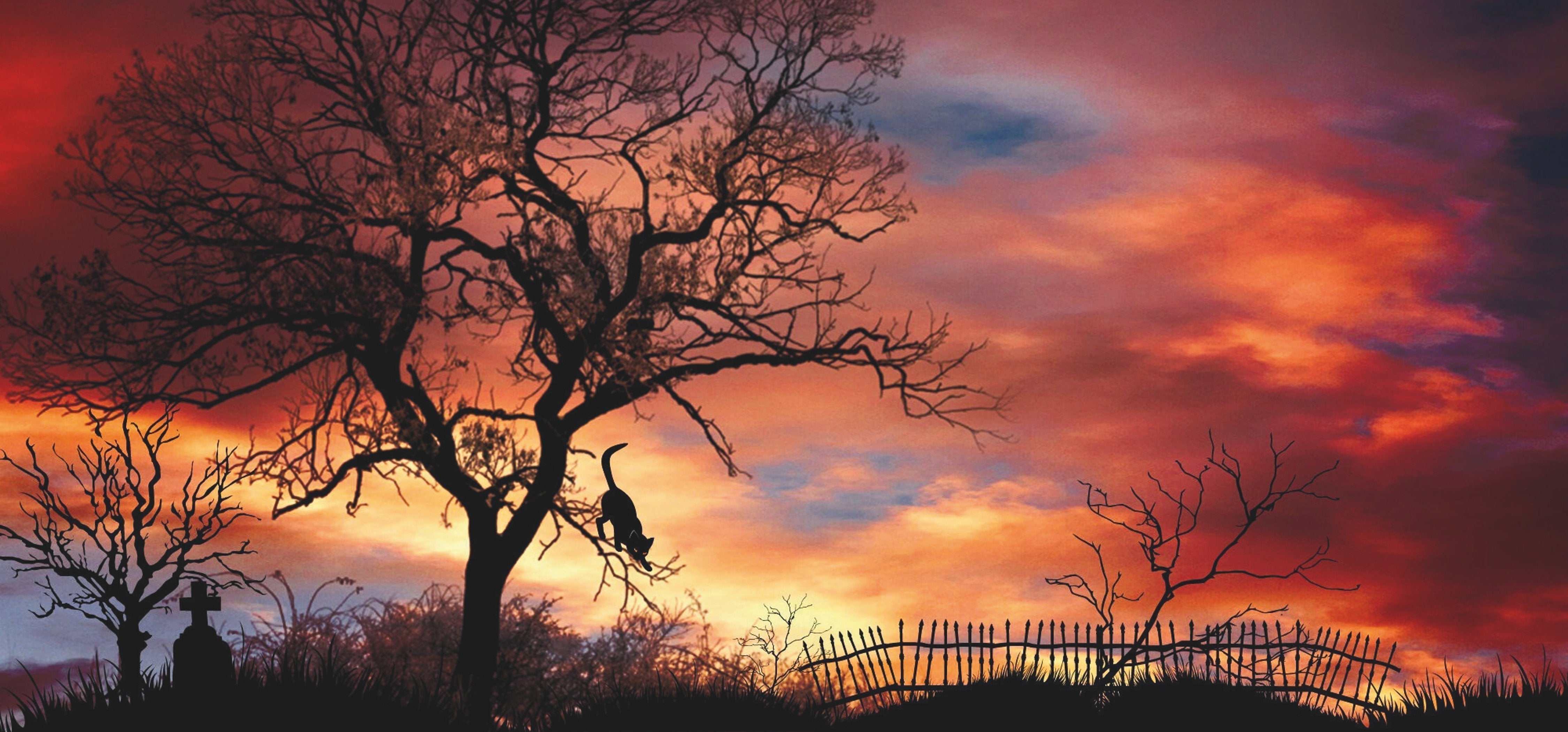 Naturfotografien als persönliches Geschenk für besondere Anlässe