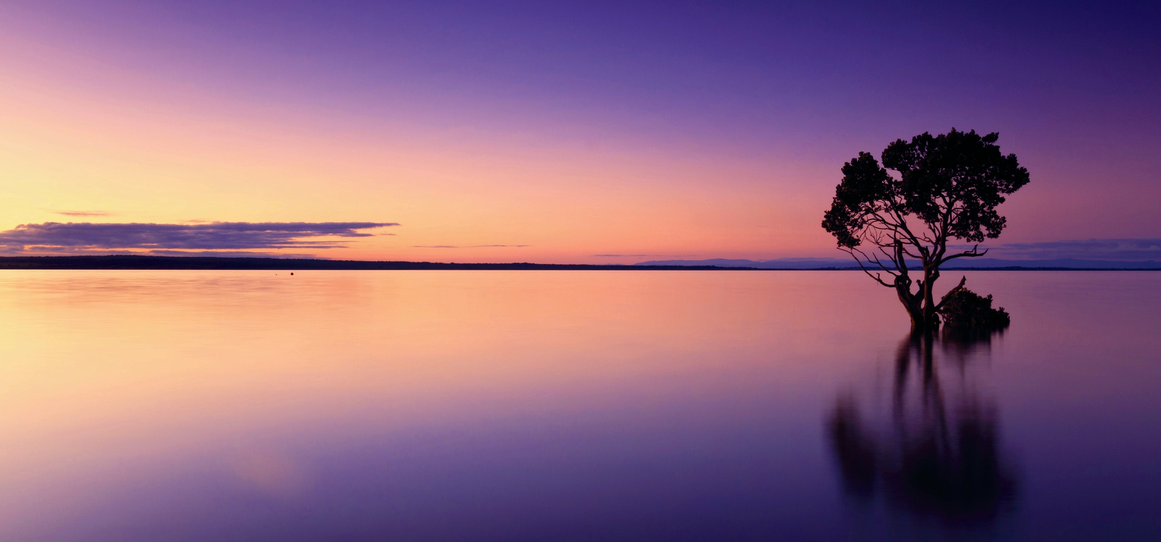 Naturfotografien als Geschenk zur Hochzeitsdekoration: Schöne Ideen für das Brautpaar
