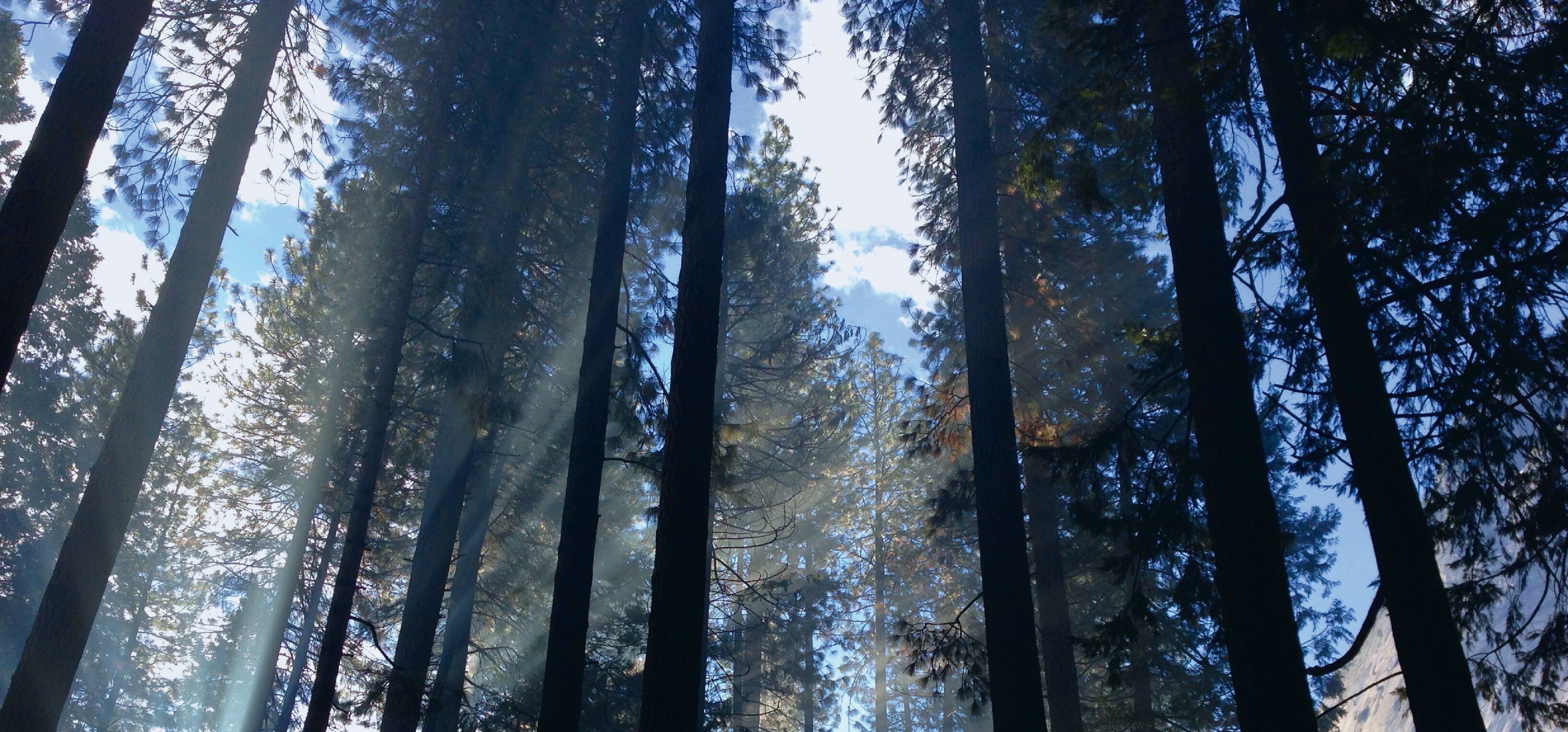 Warum Naturfotografien eine perfekte Wahl für dein Meditationszimmer sind