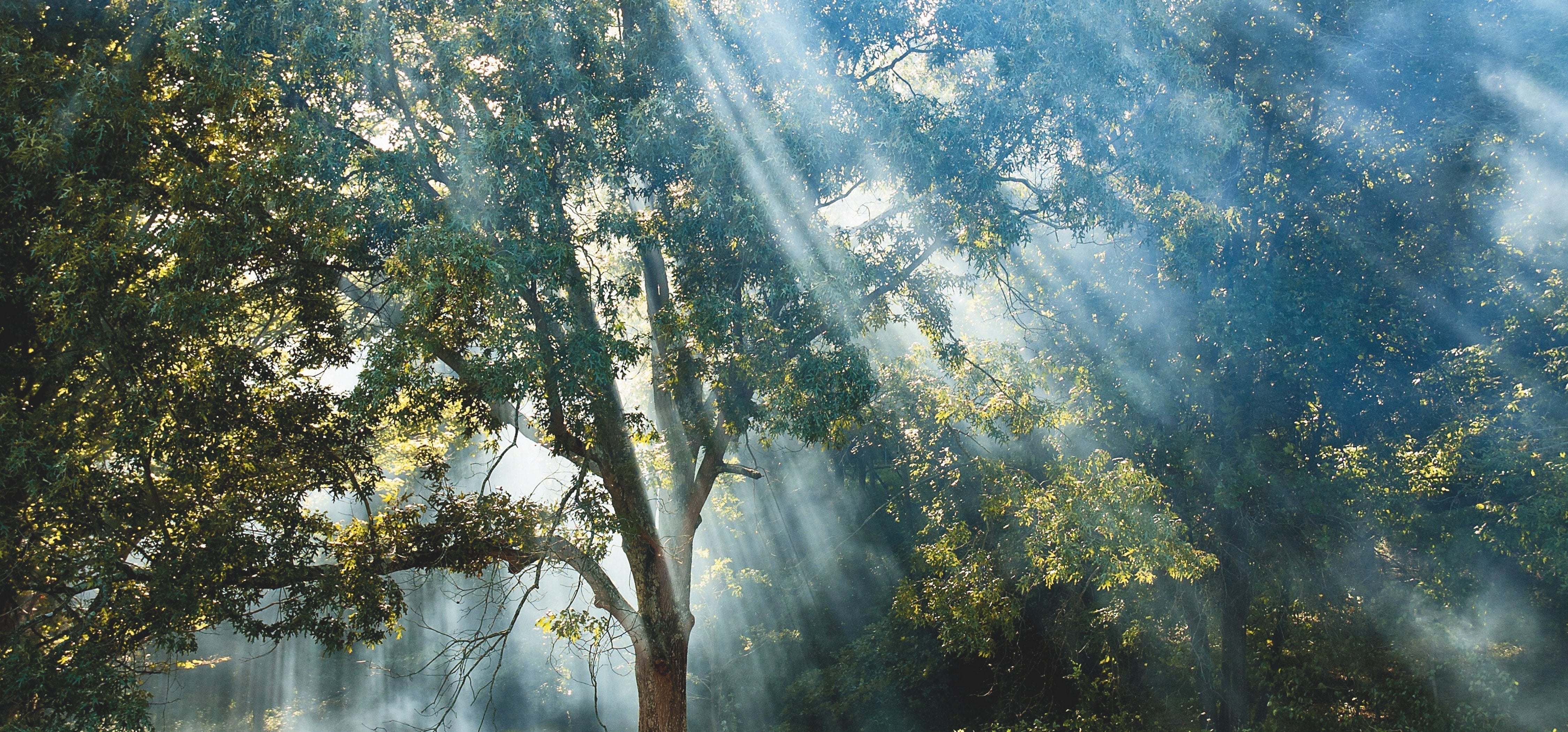 Wie Naturfotografien deinem Zuhause eine beruhigende Atmosphäre verleihen