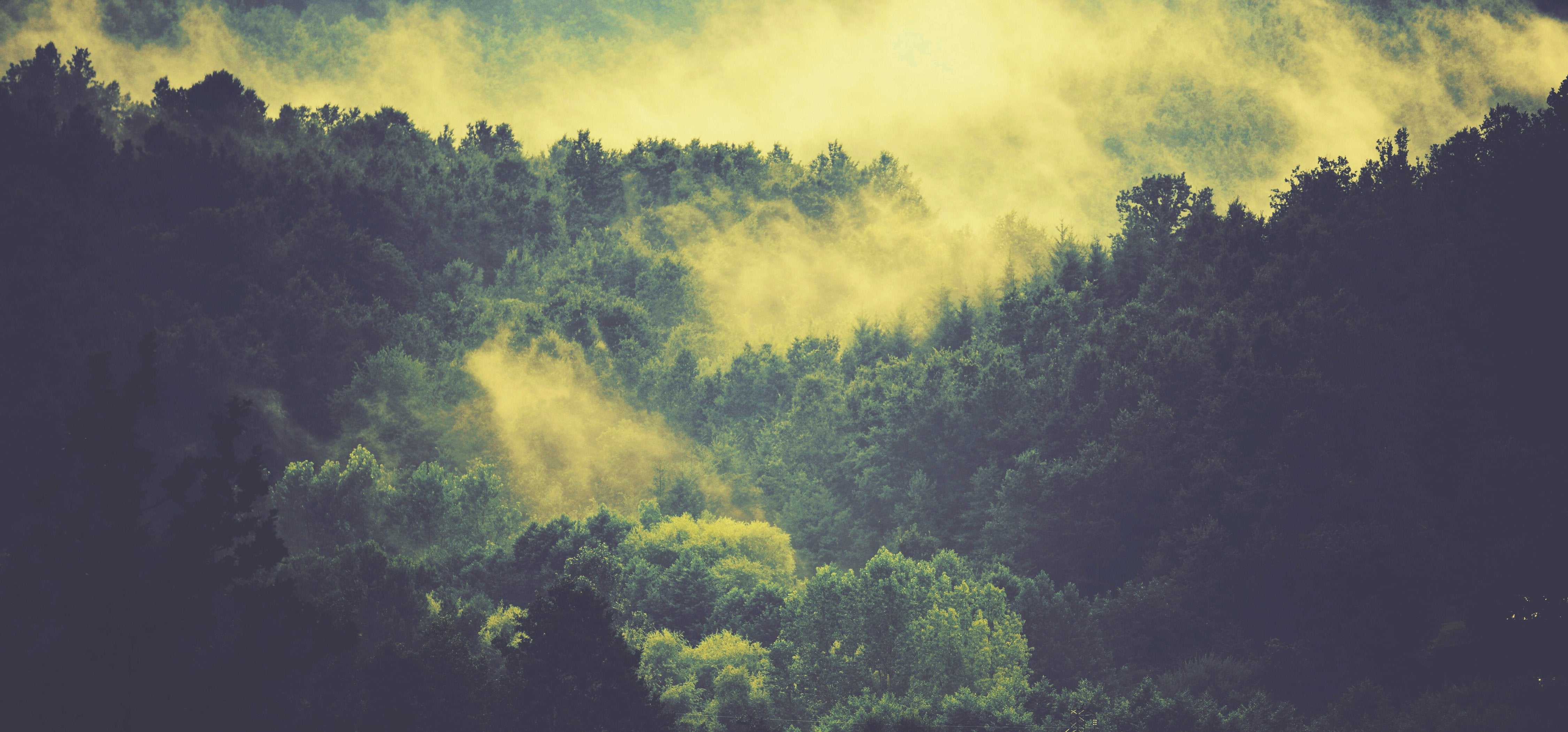 How to use nature photography in your home office to increase productivity and creativity