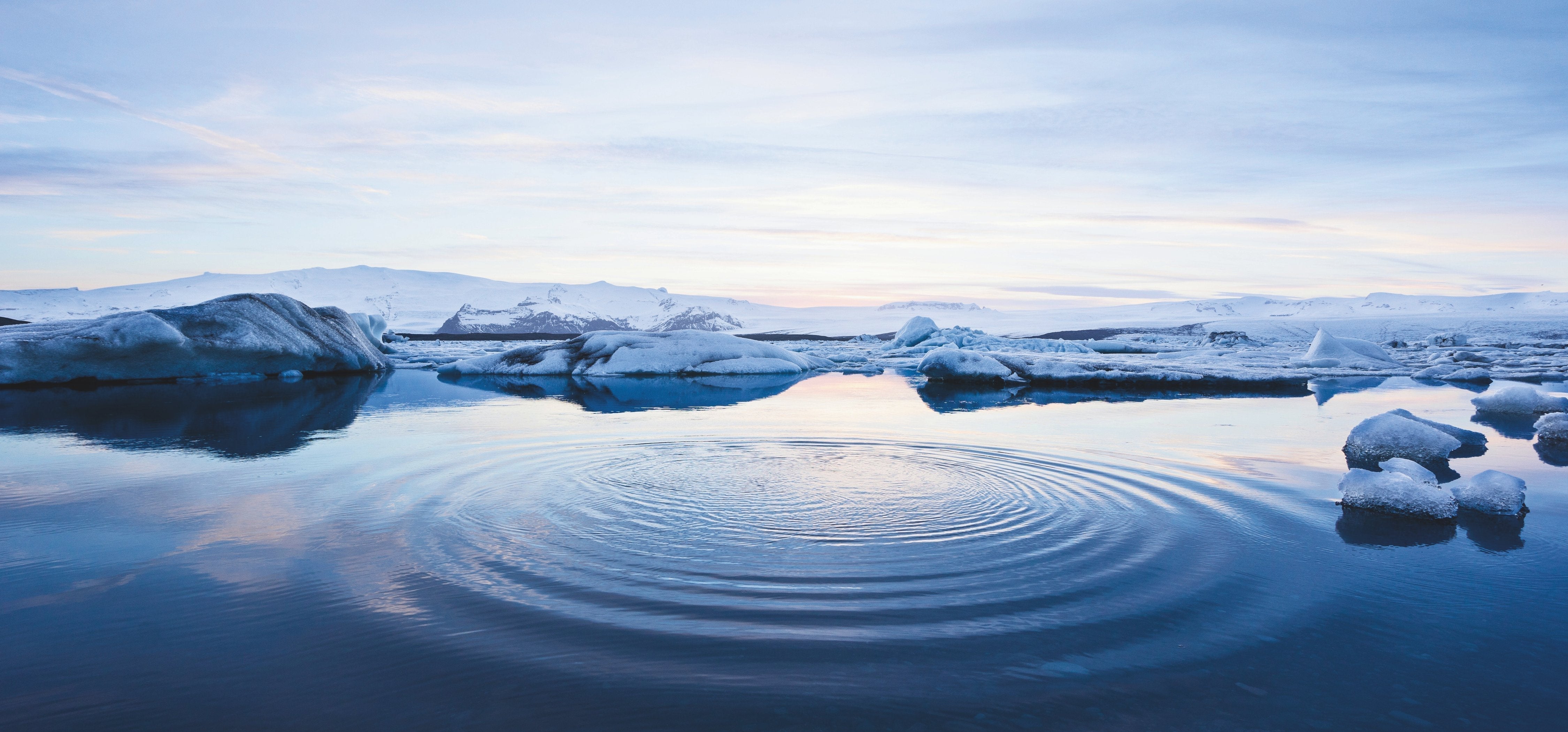Nature photographs as an ideal gift for any occasion