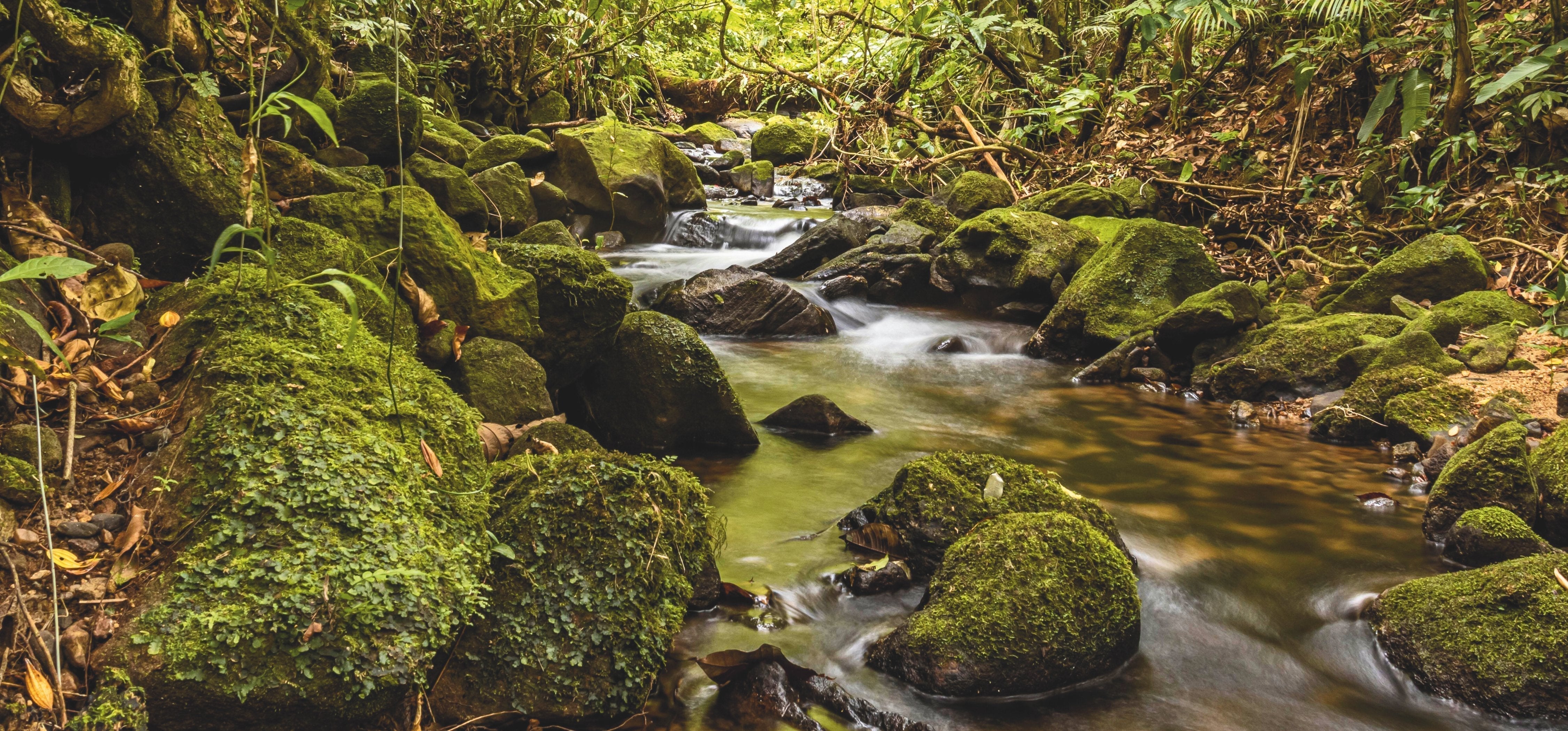 The best nature photographs for your bedroom: Calm and tranquility through wall pictures