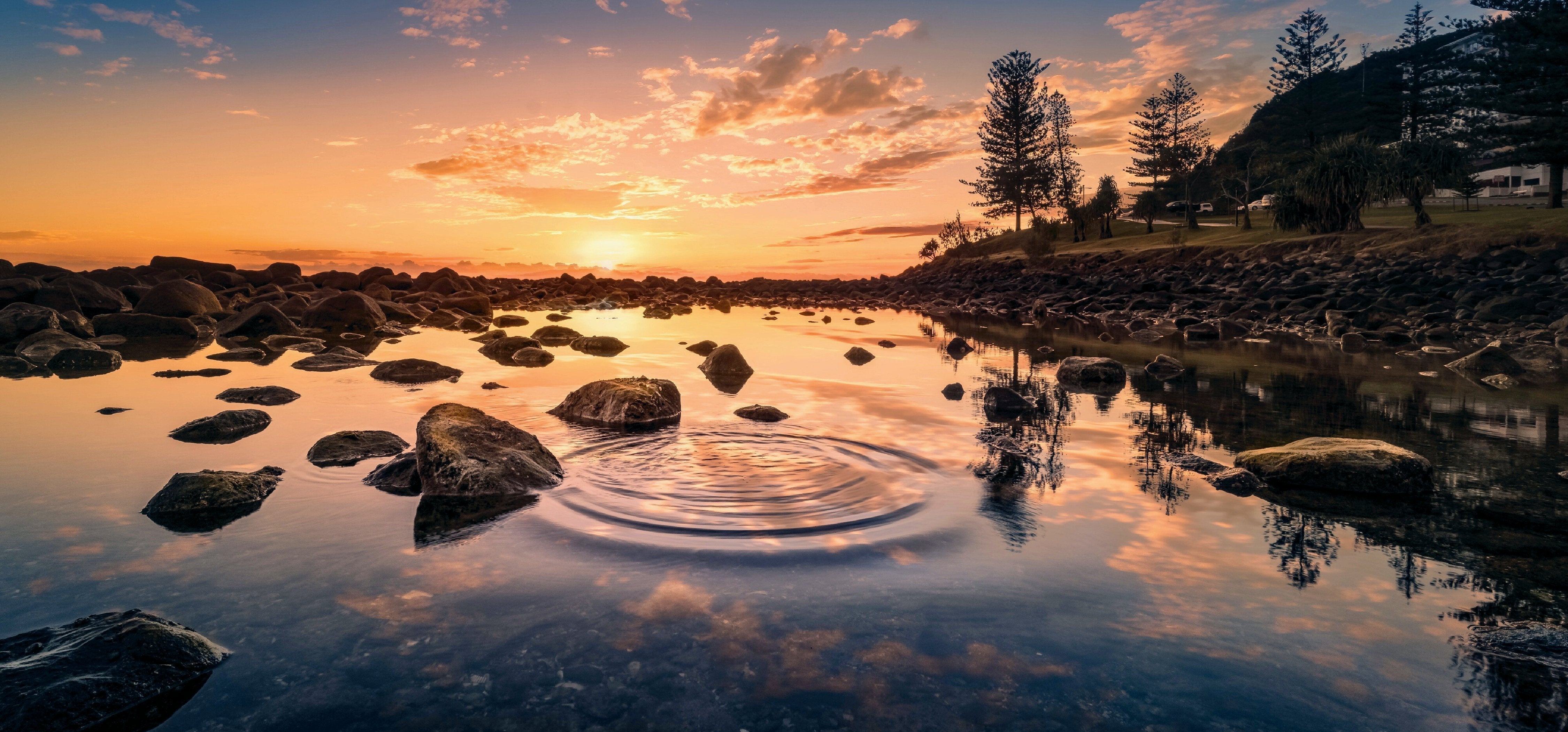 # 8: Calming Nature Photography as a Gift for Relaxation Enthusiasts
