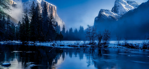 #10: Why Digital Nature Photography is a Sustainable Choice for Calming Decoration