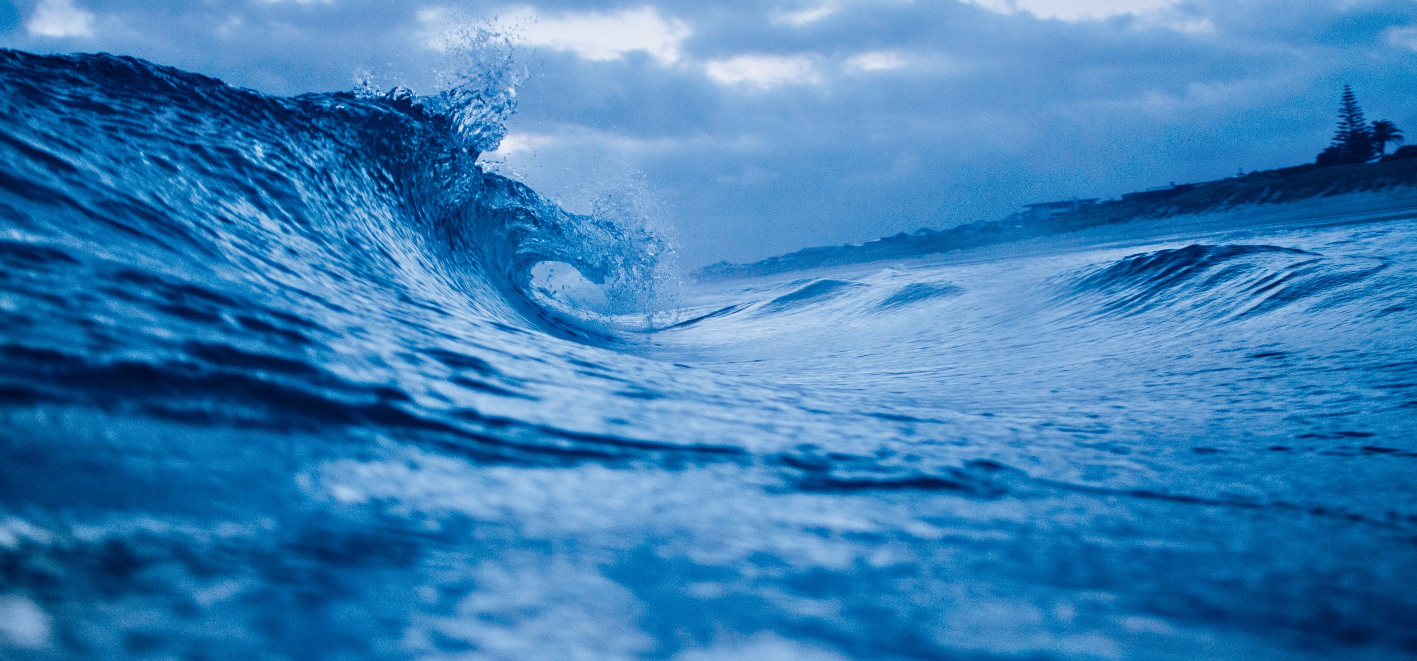 The importance of personalized nature photographs as a gift