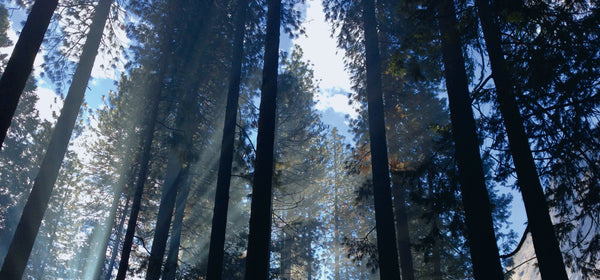 Why nature photographs are a perfect choice for your meditation room