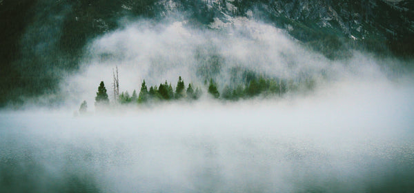 Digital nature photographs as a tool for stress management and inner peace