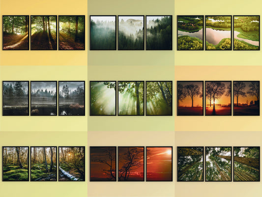 Wald-Wiese-Feld-Triptychon-Fotografie (Bundle)