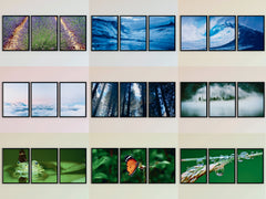 Lavender-Sea Waves-Animals-Triptych-Photography (Bundle)