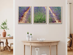 Lavender-Sea Waves-Animals-Triptych-Photography (Bundle)