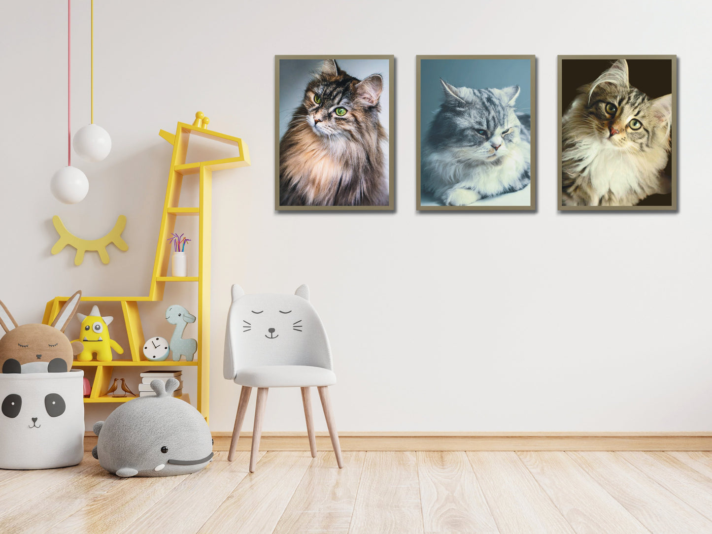 Katzen - Bundle - Fotografie