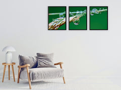Lavender-Sea Waves-Animals-Triptych-Photography (Bundle)