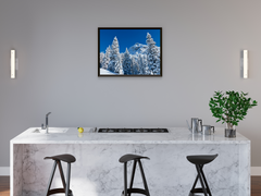 Winter Forest