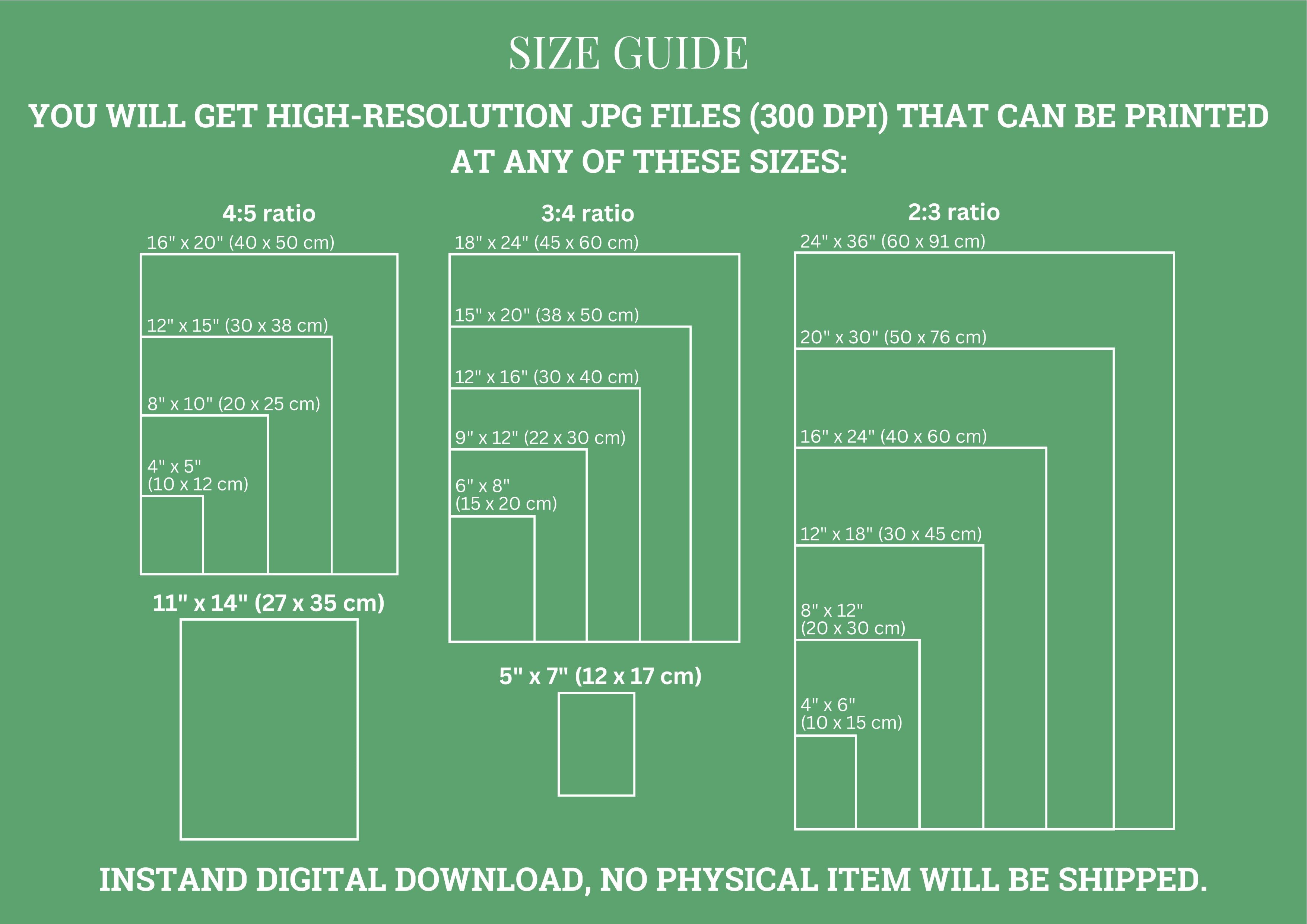 Lavendel-Pusteblume-Berge-Meer-Split-Fotografie (Bundle)