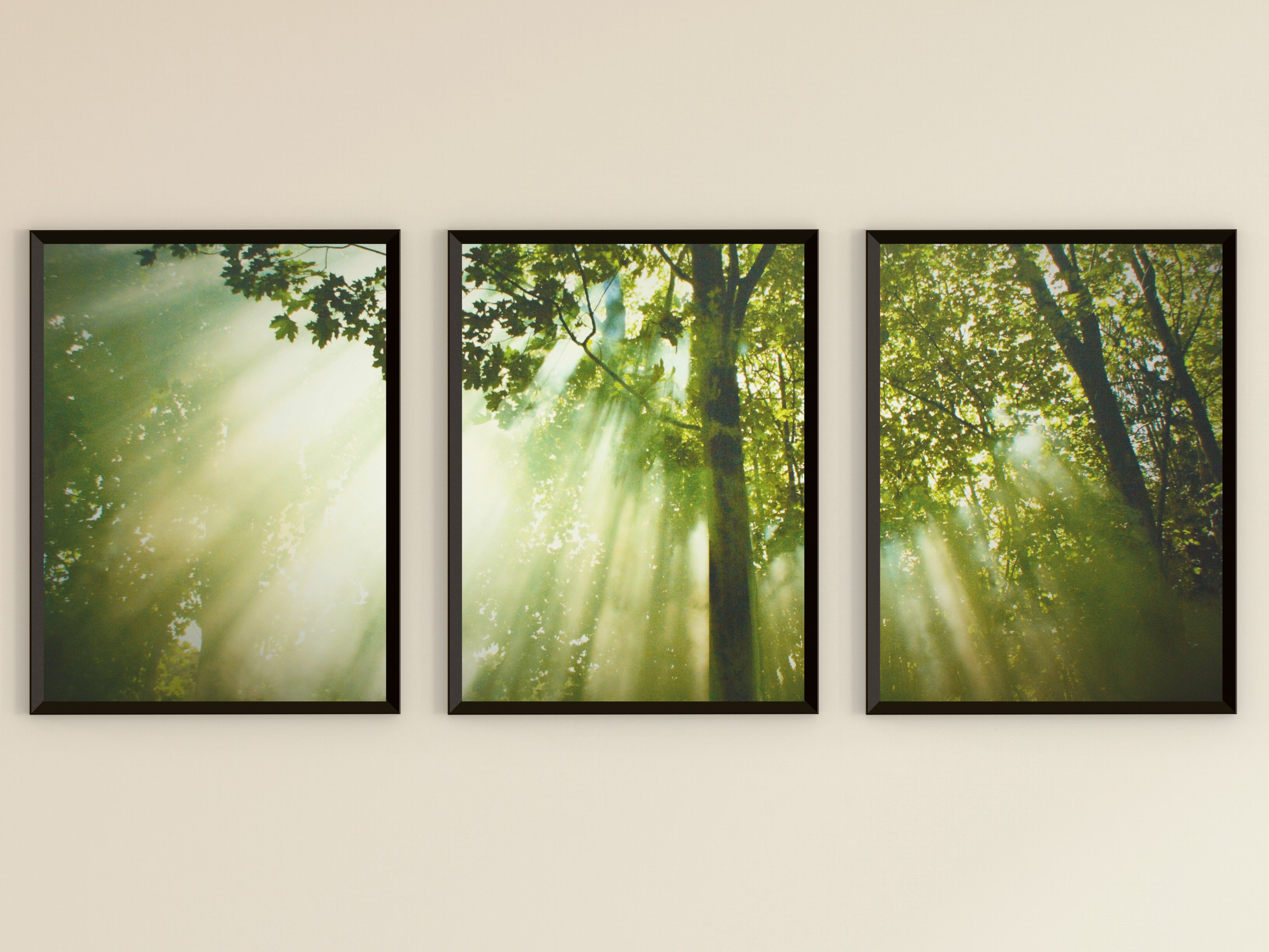 Licht durchdringt den Wald-Triptychon-Fotografie