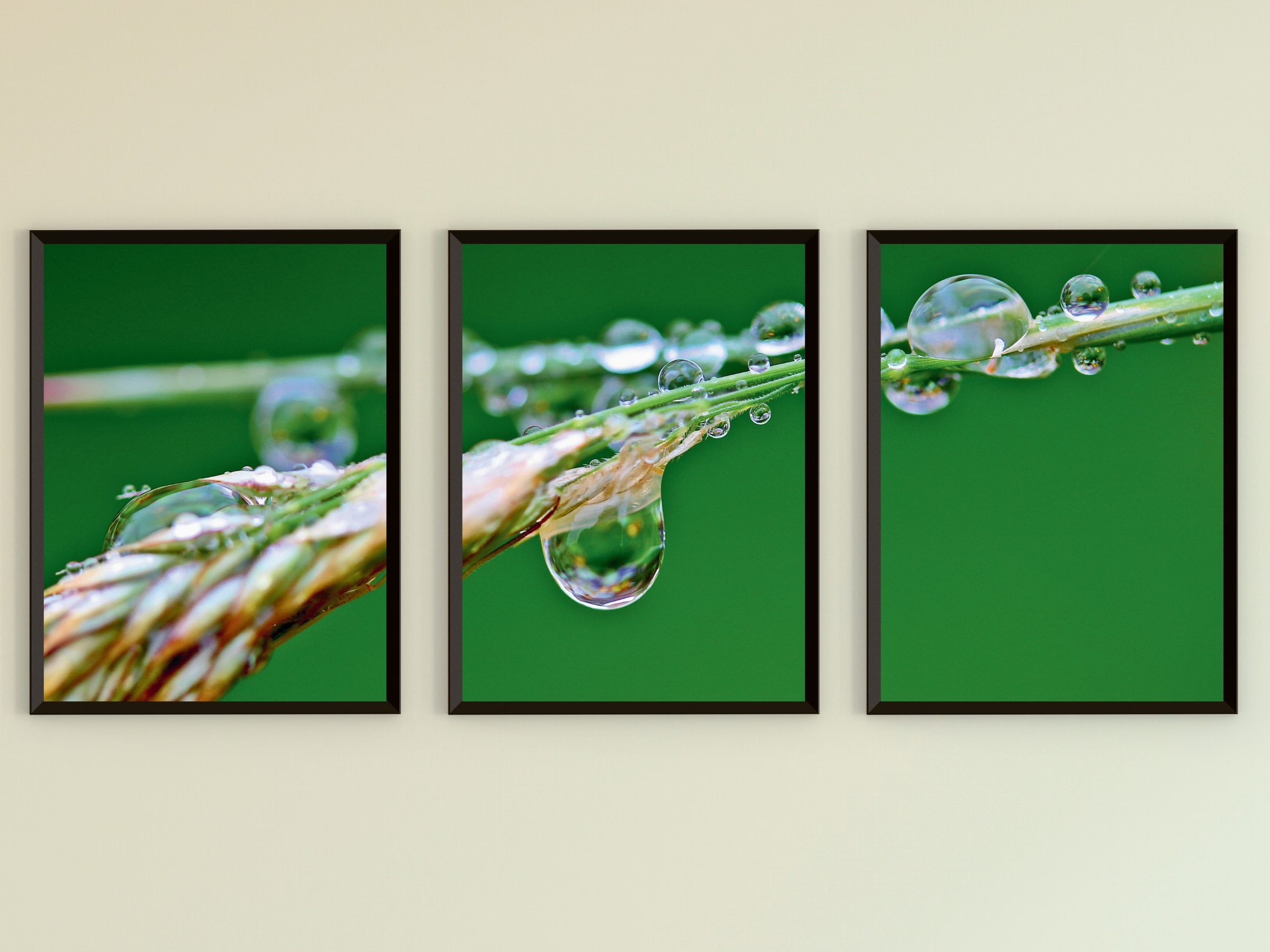 Wassertropfen auf Grashalm-Triptychon-Fotografie