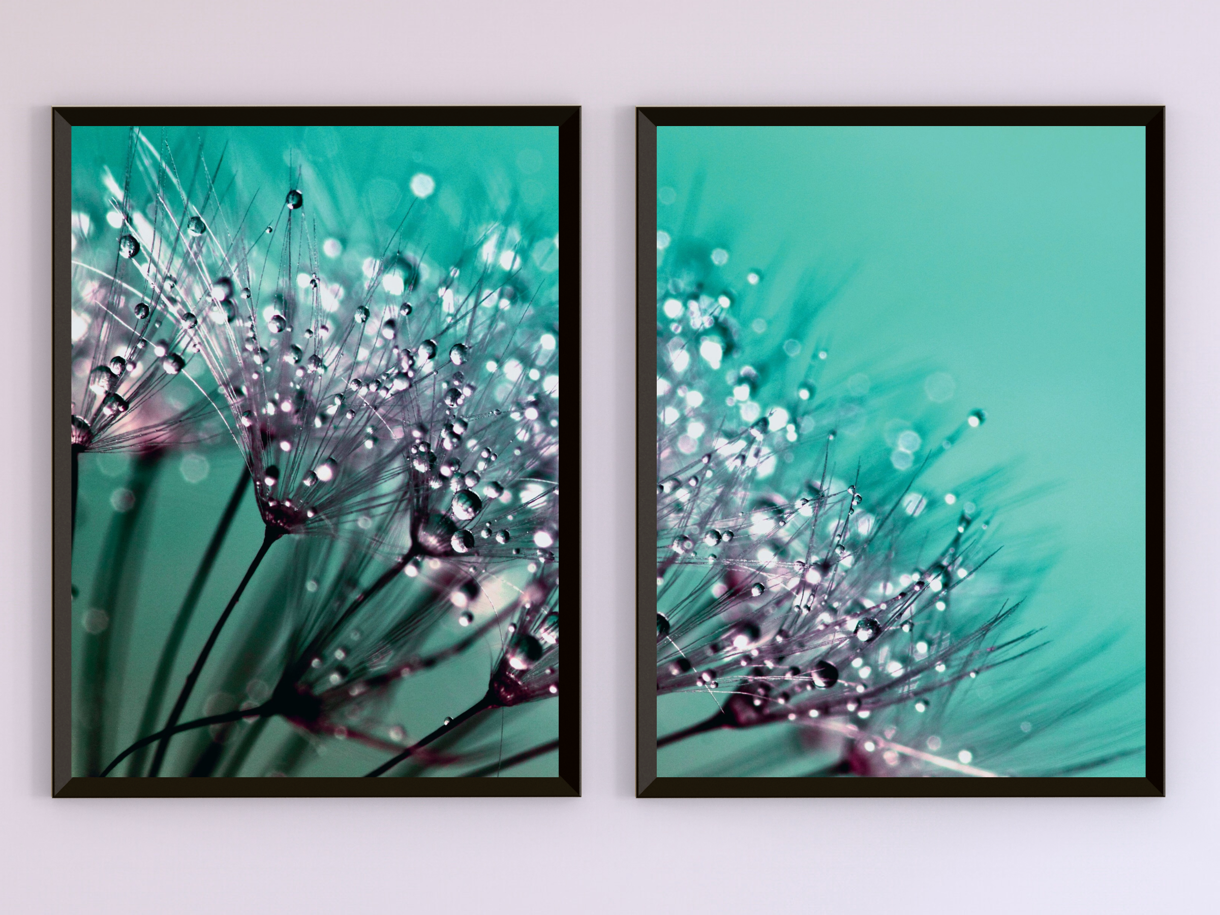 Dandelion-Split-Fotografie