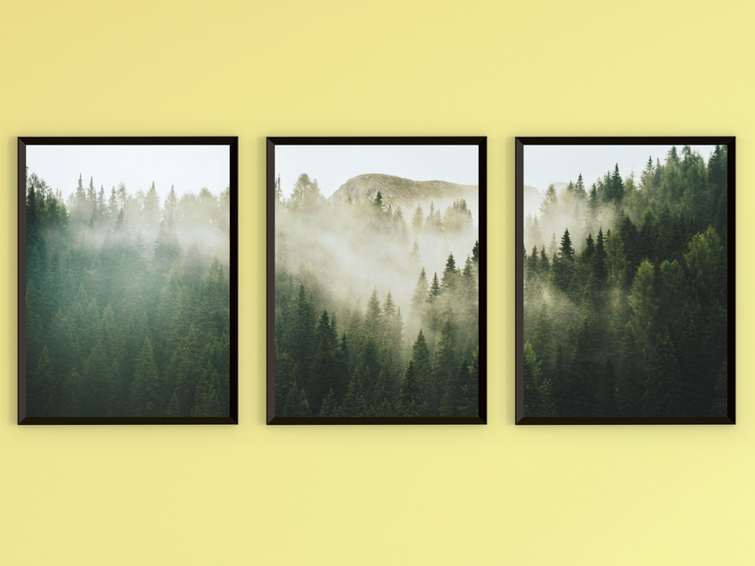 Forest in Fog-Triptych-Photography