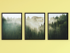 Forest in Fog-Triptych-Photography