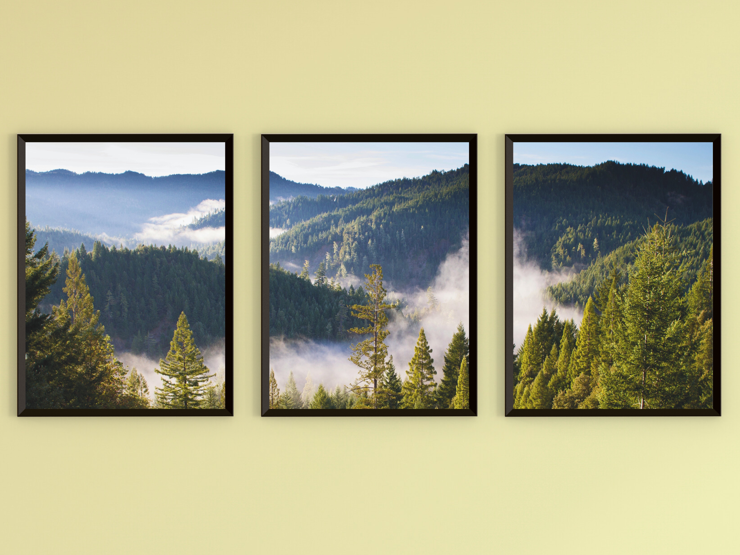 Blick über die Waldhügel-Triptychon-Fotografie