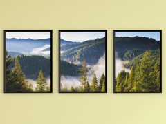 View over the Forest hill-Triptych-Photography