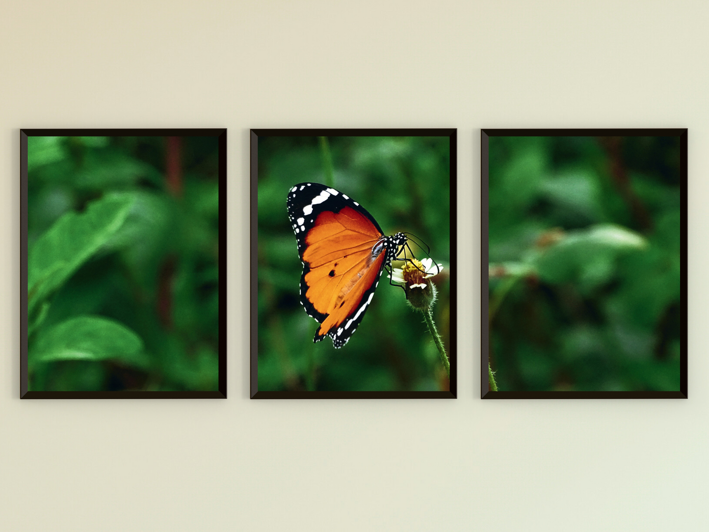 Schmetterling auf Blüte-Triptychon-Fotografie