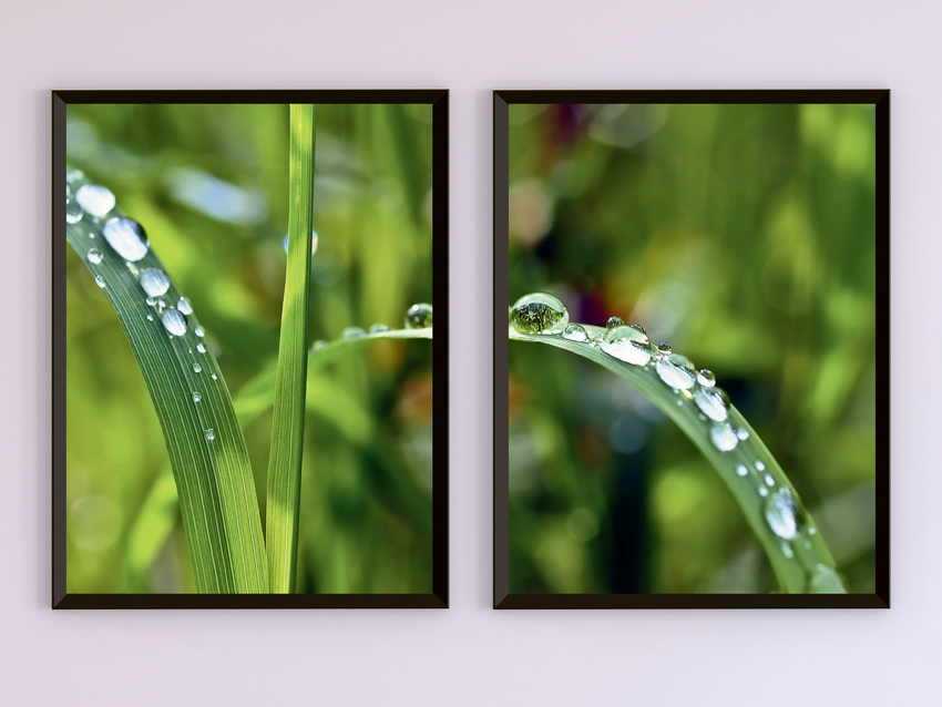 Blade of Grass with Water Drop-Split-Photography