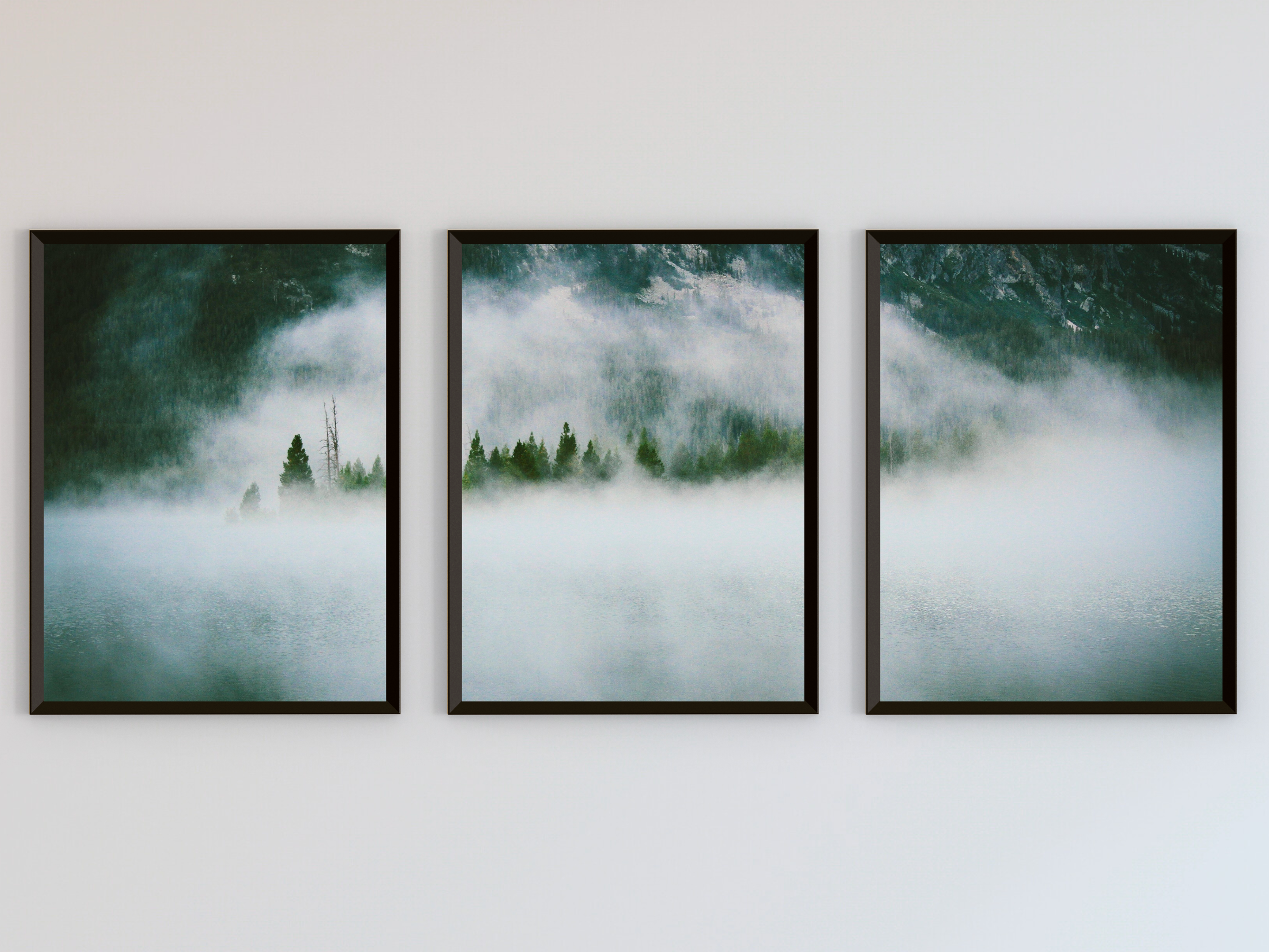photographie en triptyque de couverture de brouillard