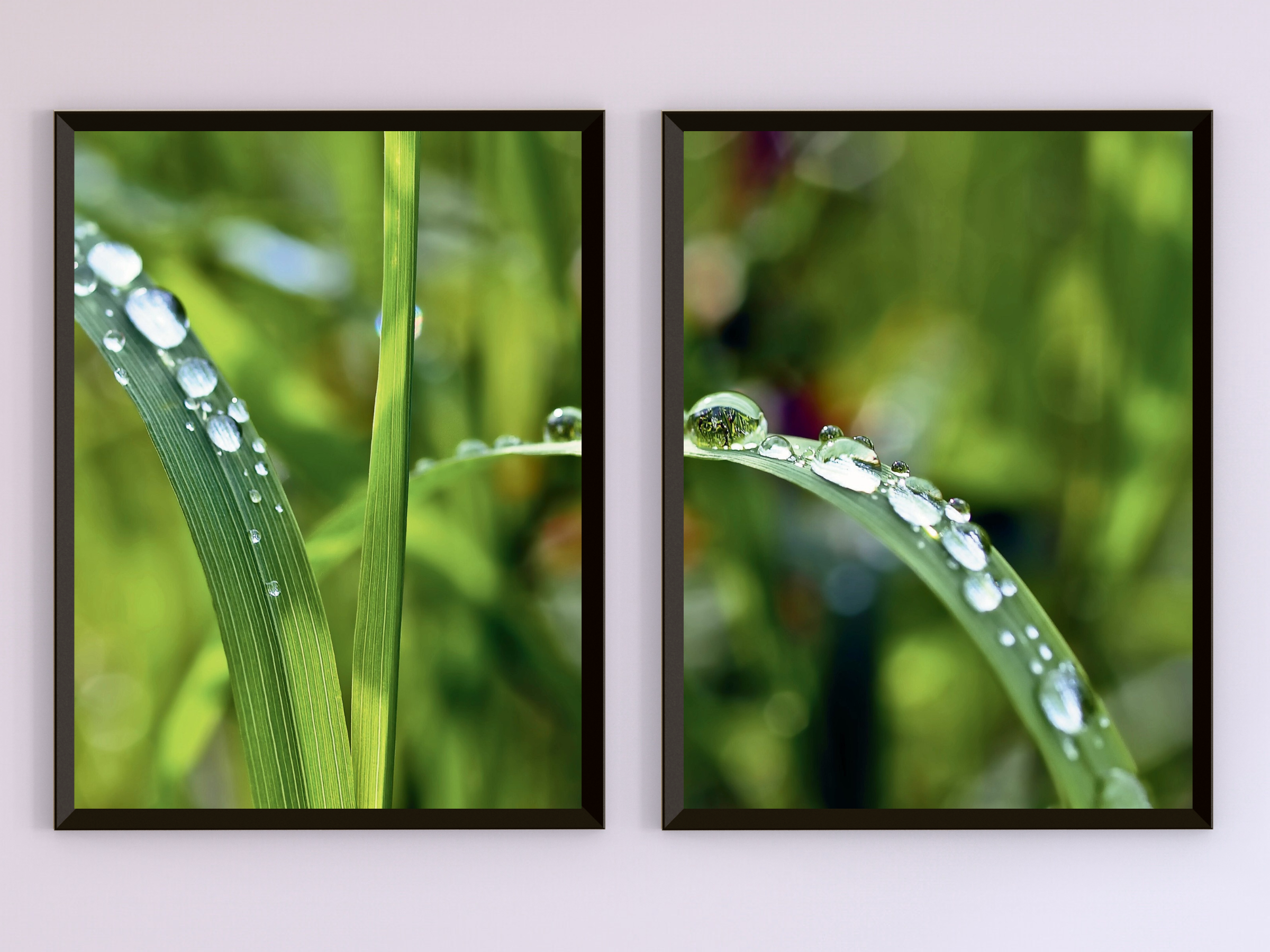 Blade of Grass with Water Drop-Split-Photography