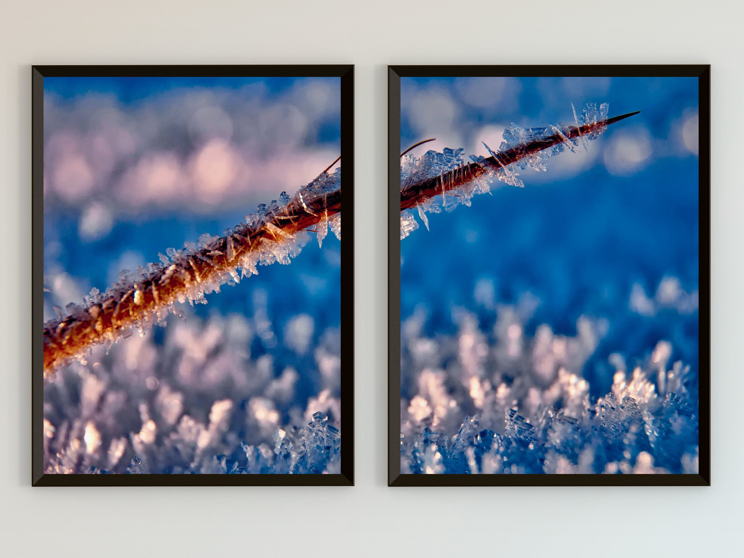 Stille im Frost-Split-Fotografie