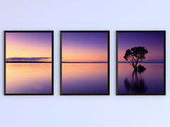 Tree in Lake Triptych Photography