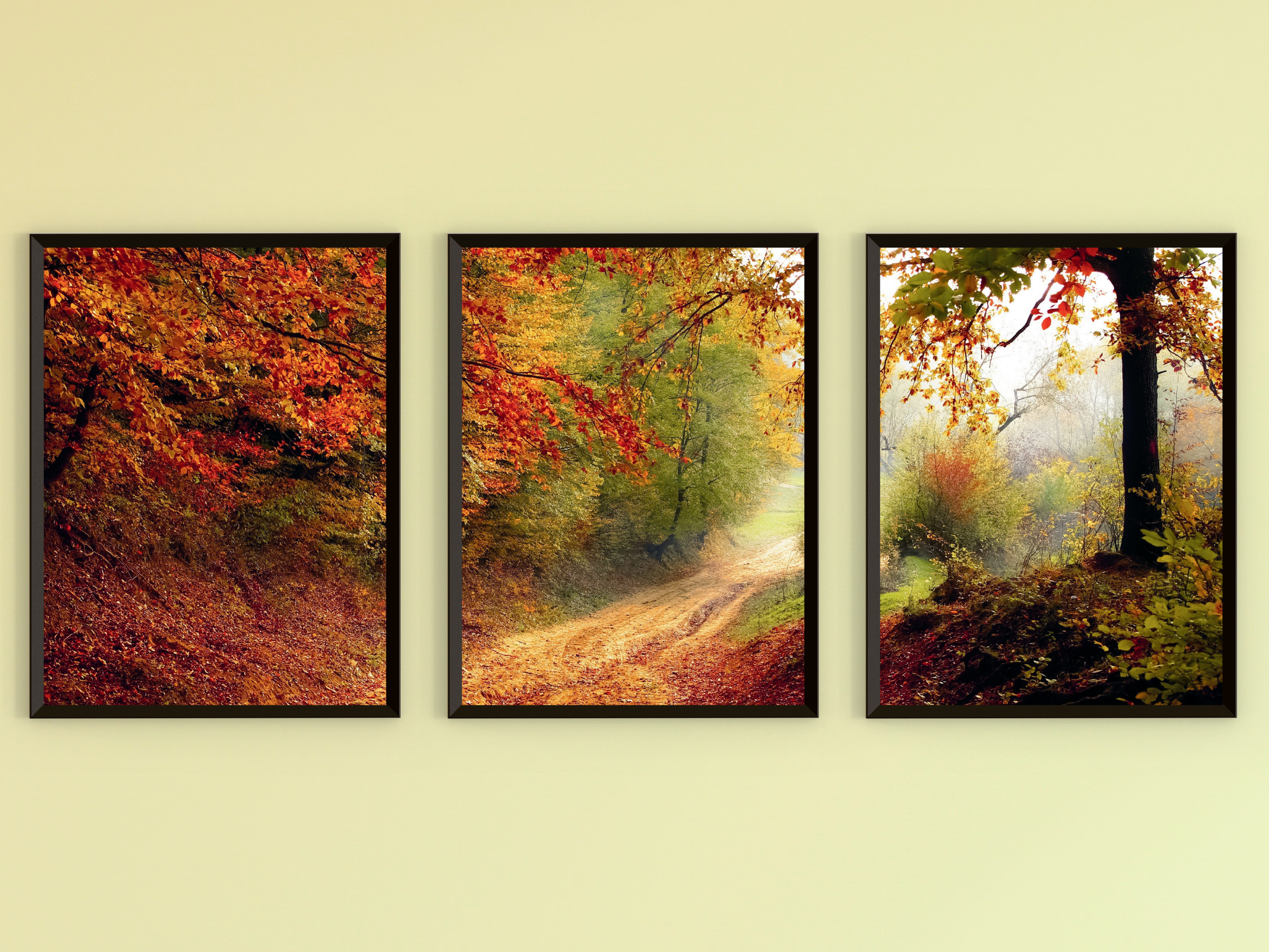 Herbstweg-Triptychon-Fotografie
