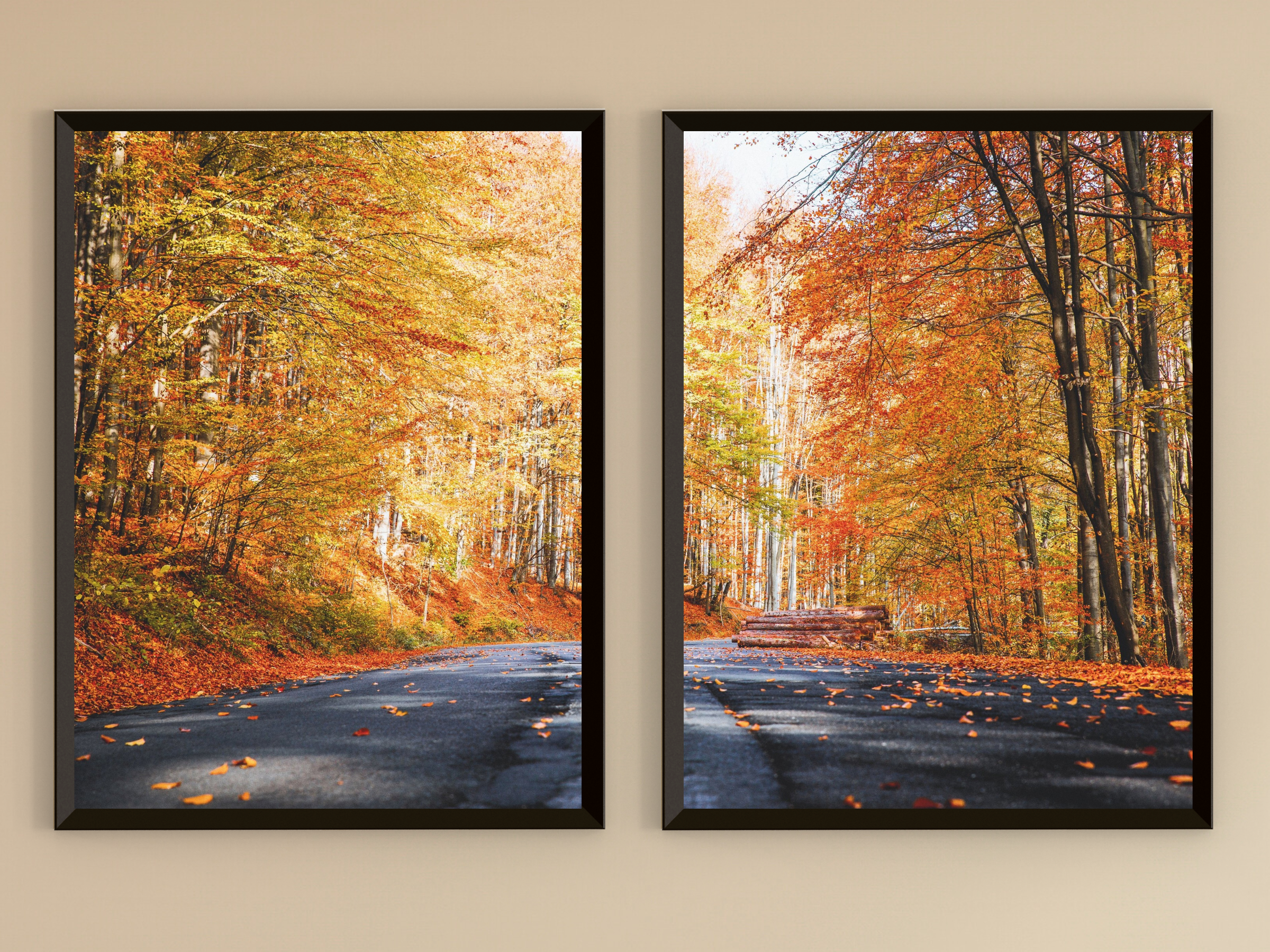 Waldstraße im Herbst-Split-Fotografie