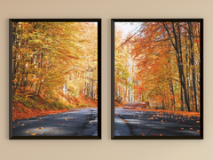 Forest Road in Fall-Split-Photography