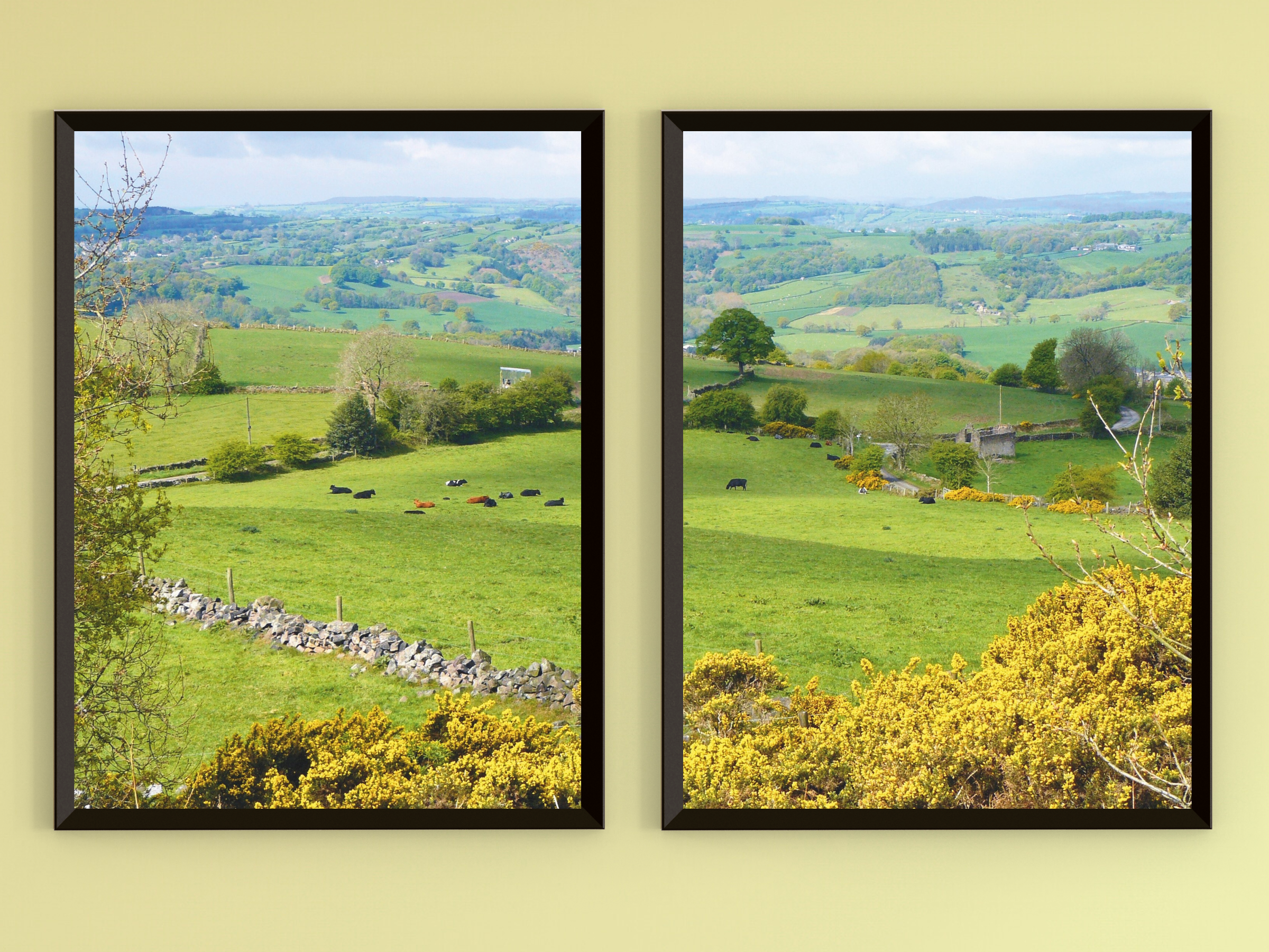 Wiesenlandschaft-Split-Fotografie