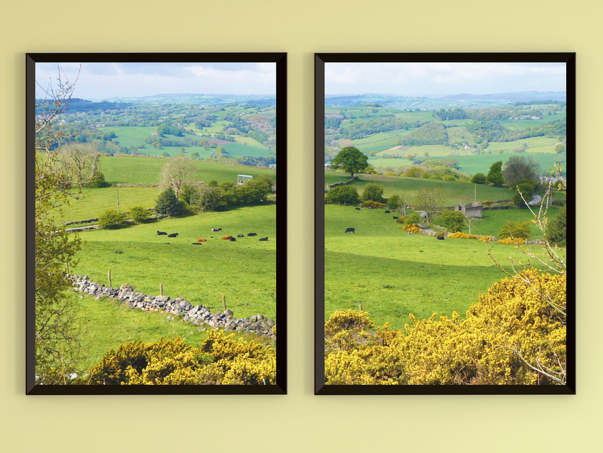 Meadow Landscape-Split-Photography