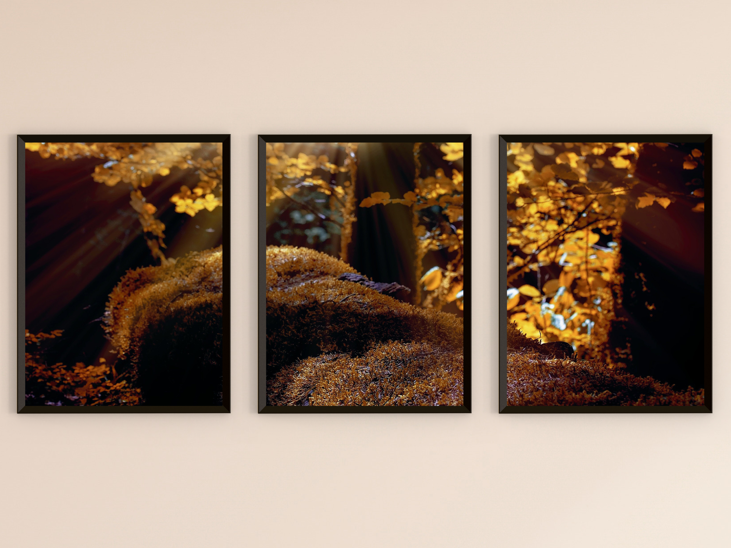 Forest Moss Triptych Photography