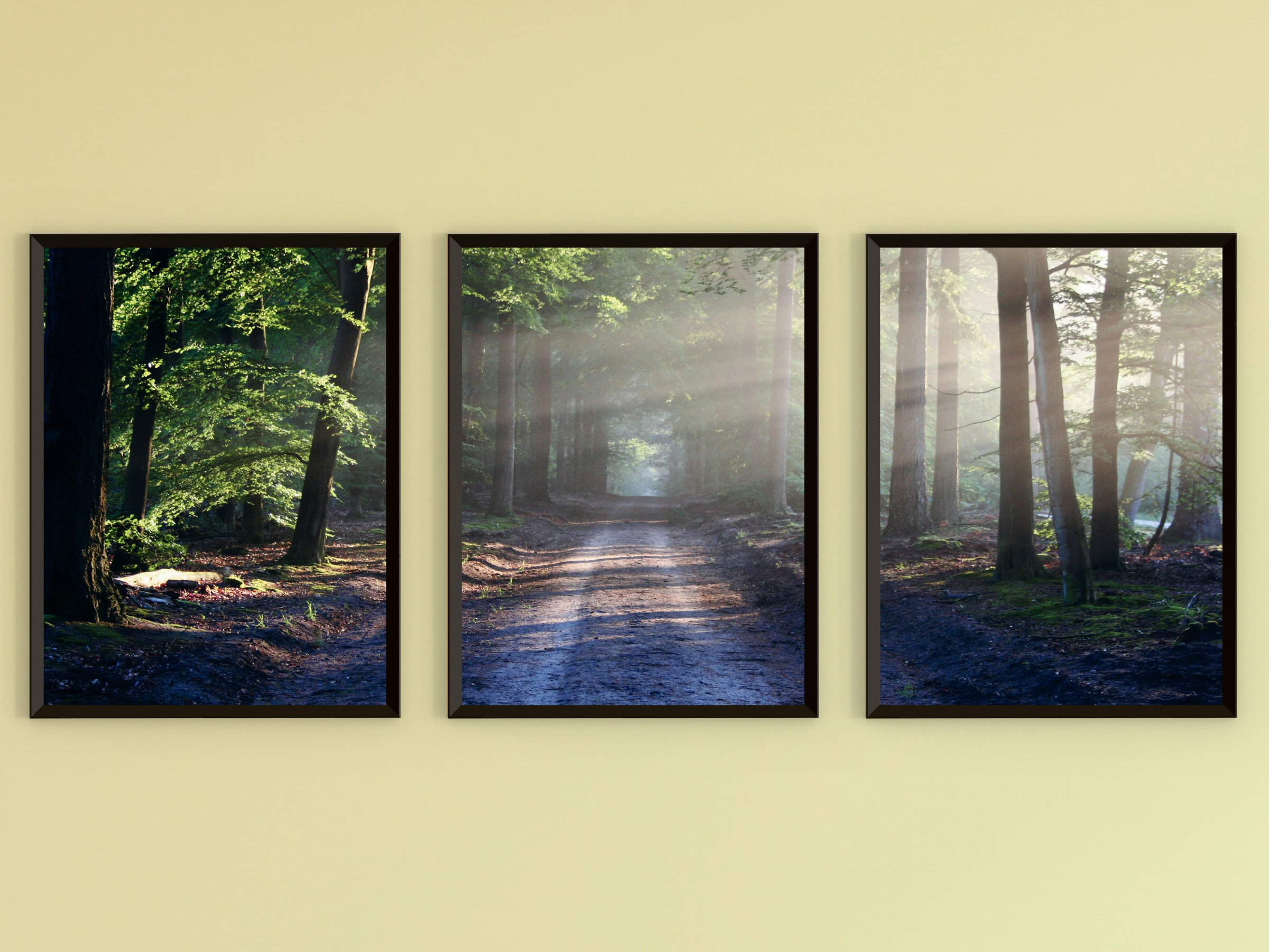 Lichtweg-Triptychon-Fotografie