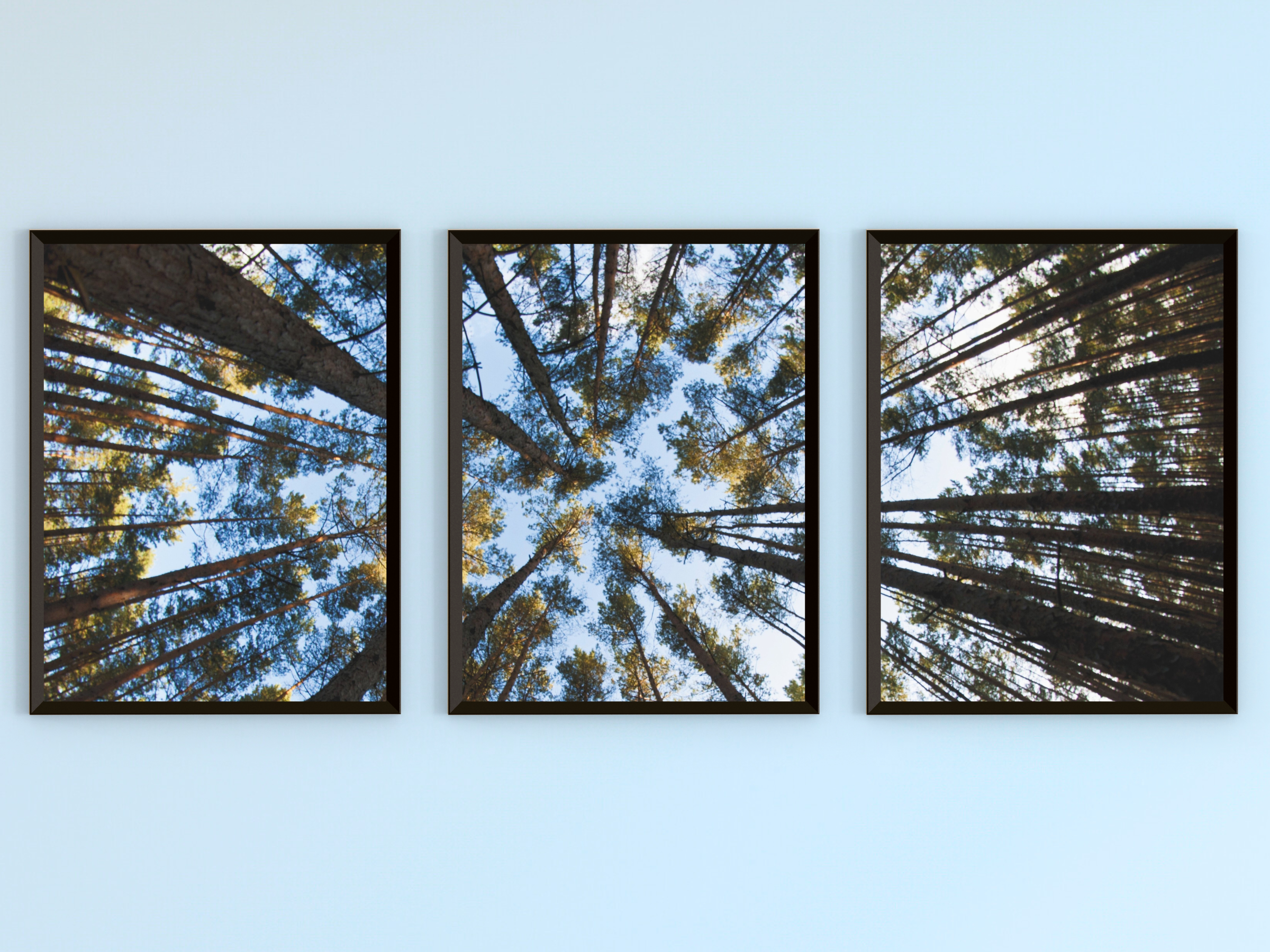 Blick in den Himmel-Triptychon-Fotografie