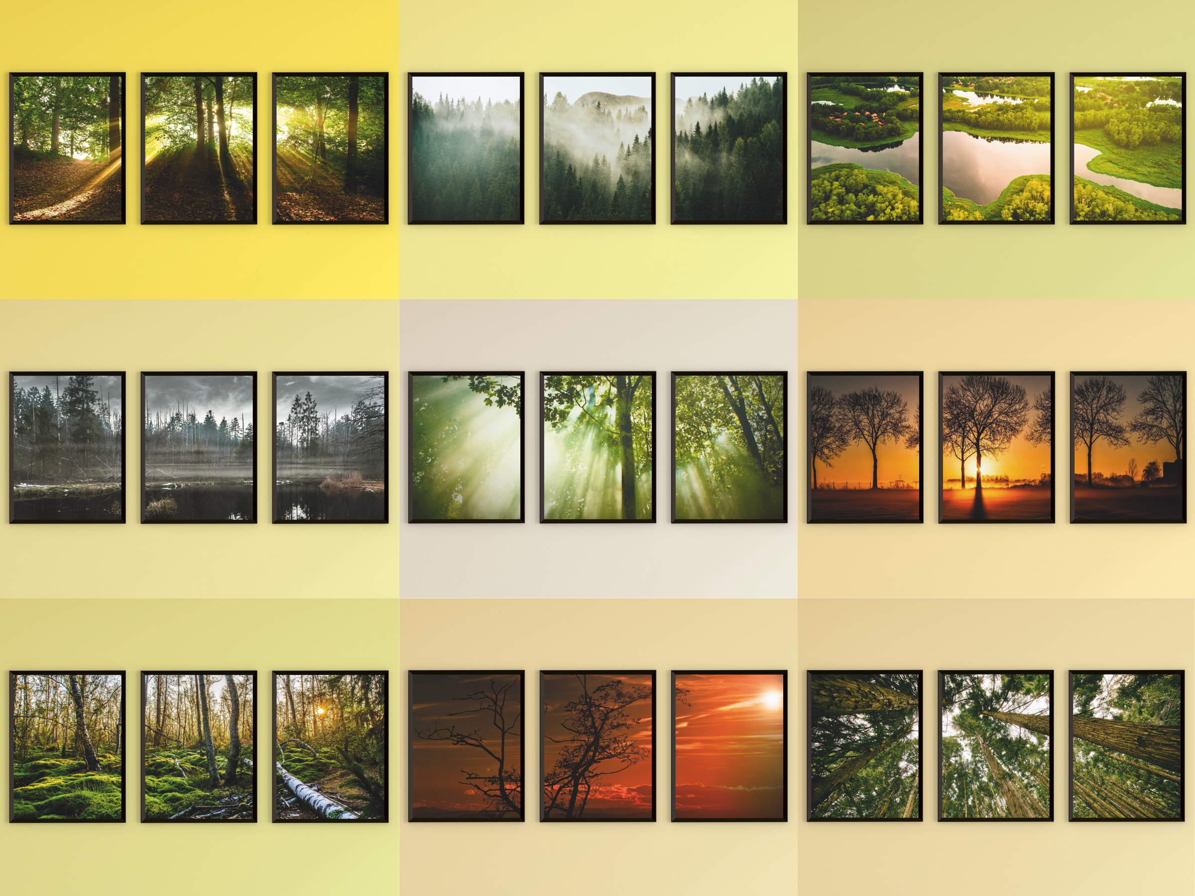 Triptyque photographique forêt-prairie-champ (lot)