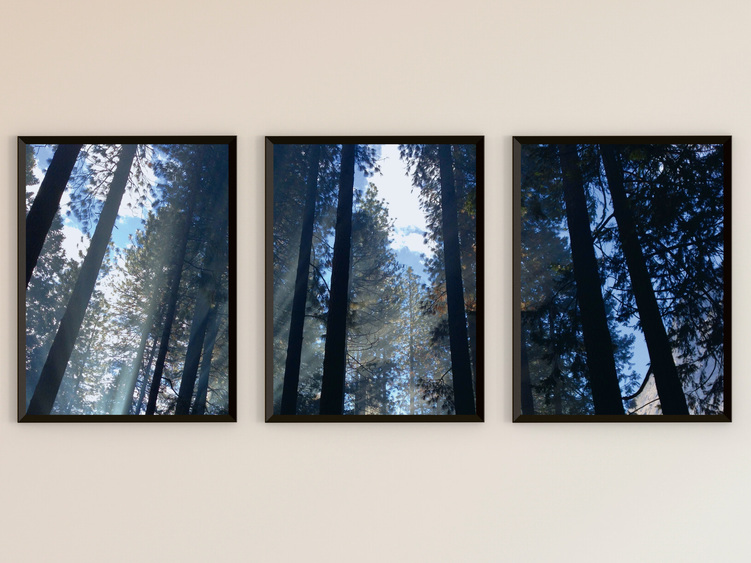 Blick durch die Bäume-Triptychon-Fotografie