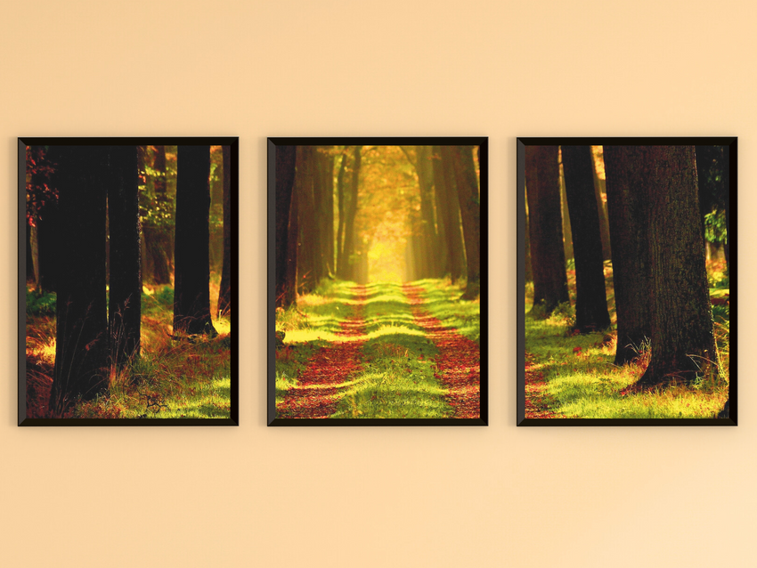Avenue of Trees in late Summer-Triptych-Photography