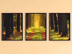 Avenue of Trees in late Summer-Triptych-Photography