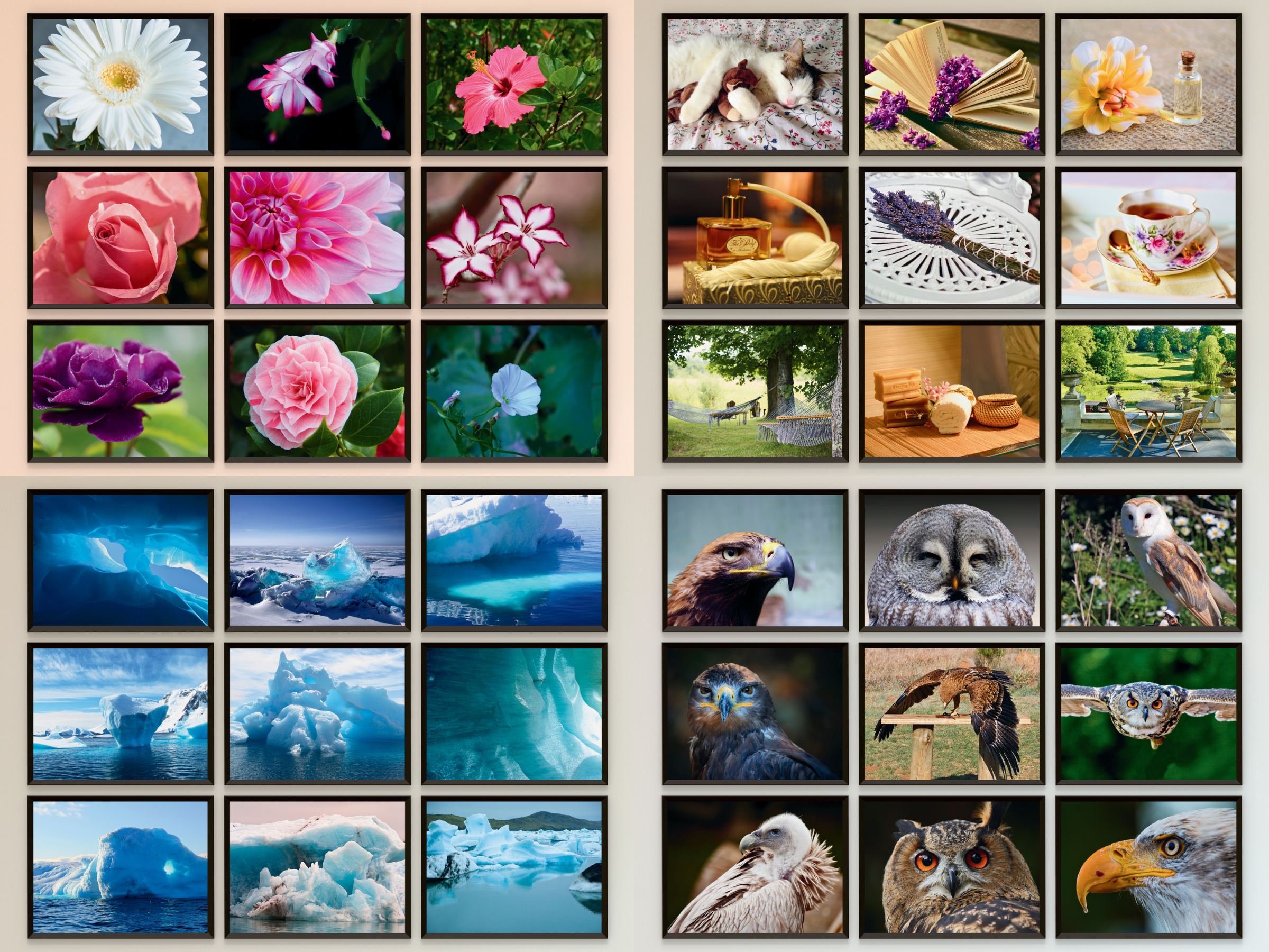 Natur & Ruhe (Bundle)