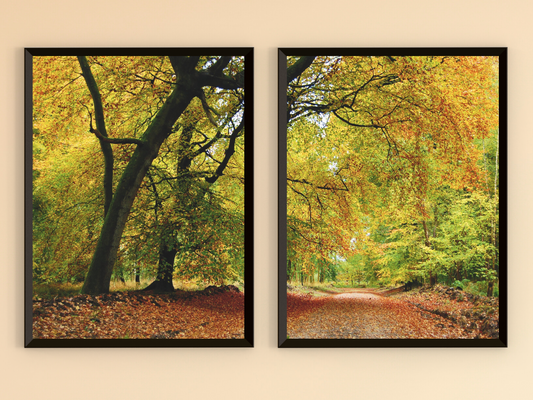 Herbstwald-Split-Fotografie